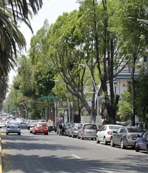 AVENIDA JUÁREZ