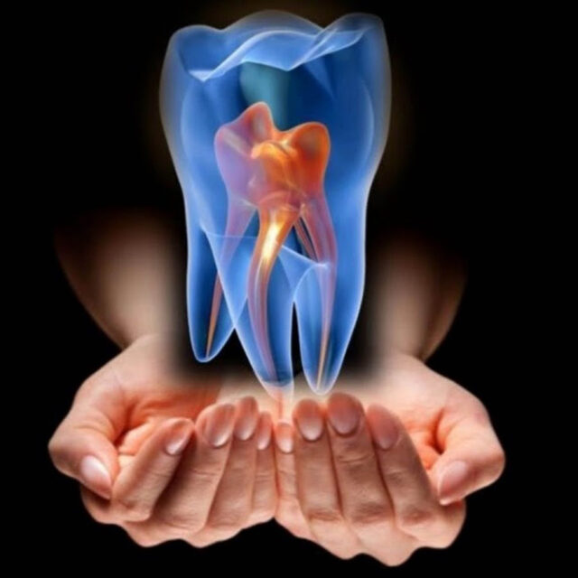 Desarrollan universitarios banco de células madre de dientes