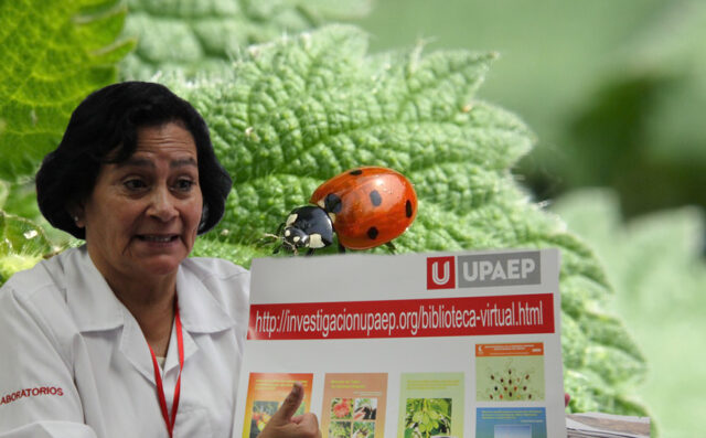 Agronomía UPAEP presenta investigación de insectos depredadores