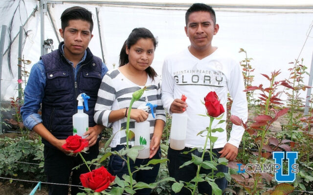 Alumnos de Universidad Tecnológica de Tecamachalco participarán en certamen Internacional de Brasil