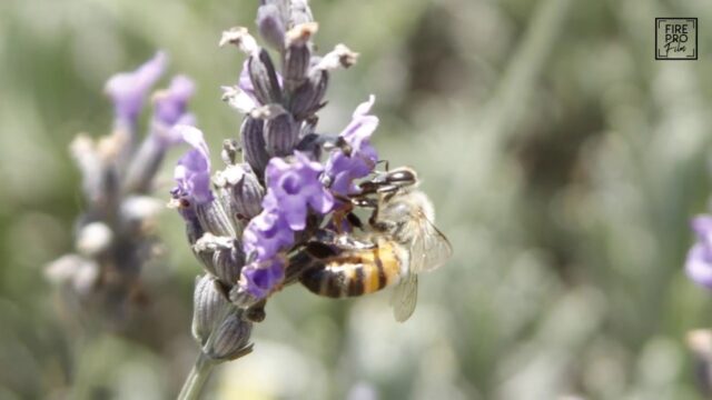 Un espacio para disfrutar de la naturaleza y relajarte: Rancho San Martín