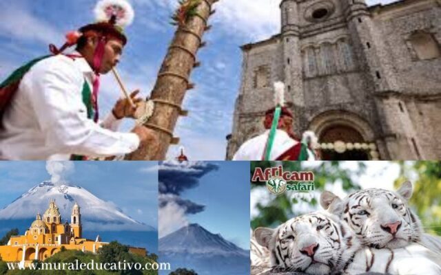 Aquí te dejamos algunas opciones para que puedas conocer durante el último fin de semana del 2019