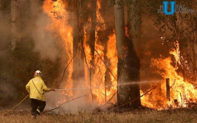 Alerta mundial por incendios de Australia. El humo llega hasta la zona de Suramérica