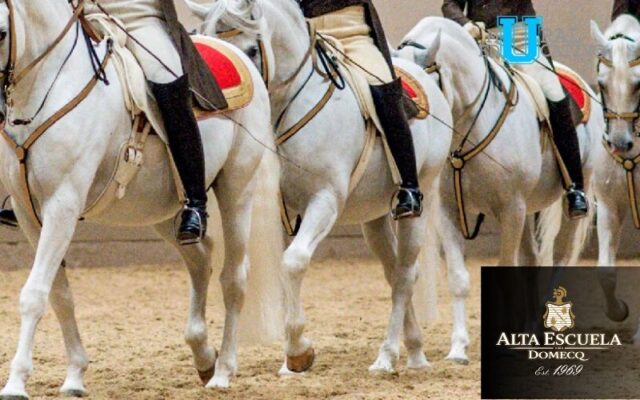“México Mil Colores”, Un regalo para Mamá, de la Alta escuela Domecq