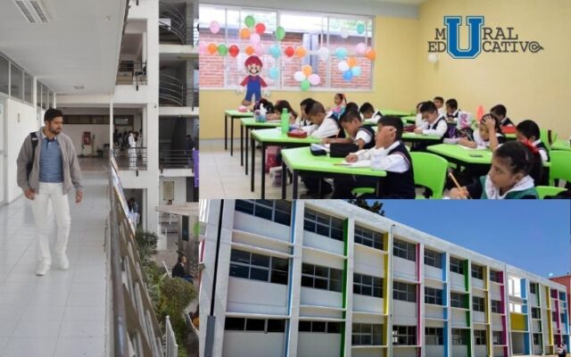 Para consultar calificaciones los alumnos de educación básica podrán ingresar a la página oficial de la SEP.