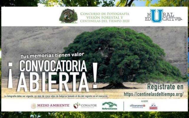 Concurso Nacional de Fotografía Conafor 2020