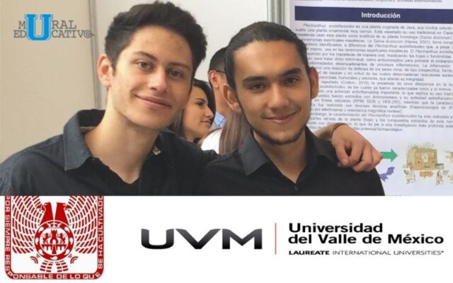 Estudiantes de la UVM Investigan Planta Que Podría Sustituir A Los Medicamentos Para Tratar Dolores E Inflamaciones
