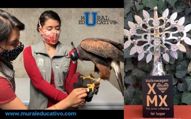 Ganan alumnas BUAP concurso de VW “Por Amor a México, Chav@s”