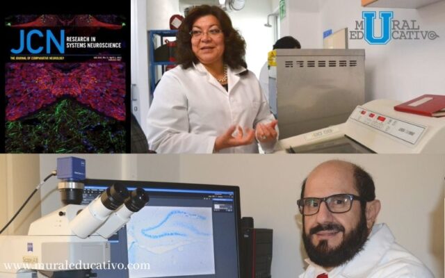 Publicación Internacional de neurocientífica reconocer trabajo de la BUAP