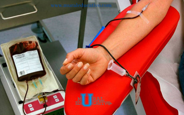 Donaciones de Sangre han bajado hasta en un 60 %, en México y el Mundo