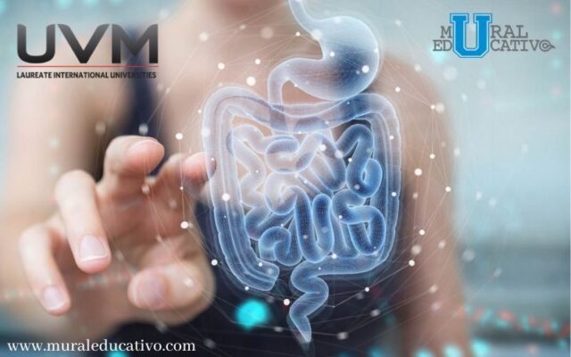 Investigación de la UVM señala que “flora intestinal” esta relacionada con la gravedad de los pacientes COVID-19
