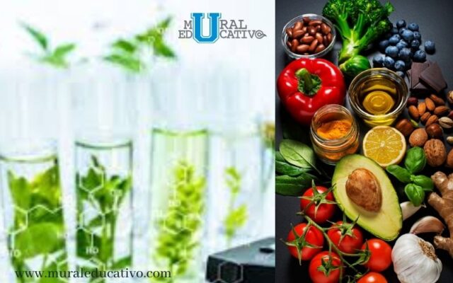 La Biotecnología aumenta la producción alimentaria y el valor nutricional en las personas: UVM Puebla