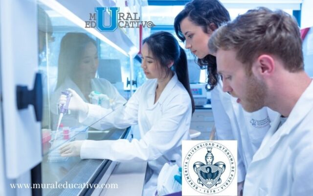 Máxima casa de Estudios en Puebla reconoce el importante papel de la mujer en la ciencia e investigación