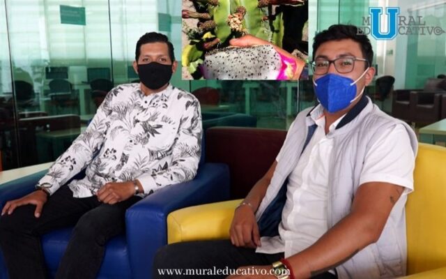 Proyecto que produce y comercializa la pitahaya en la Mixteca gana el Premio “Cuna de Emprendedores”