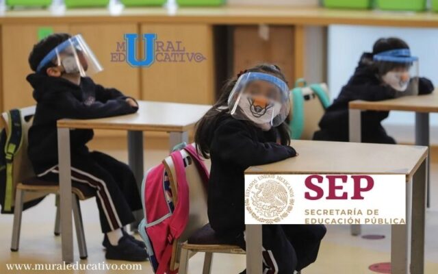Reporta la SEP que ninguna escuela particular en Educación Básica abrió sus puertas para impartir clases presenciales