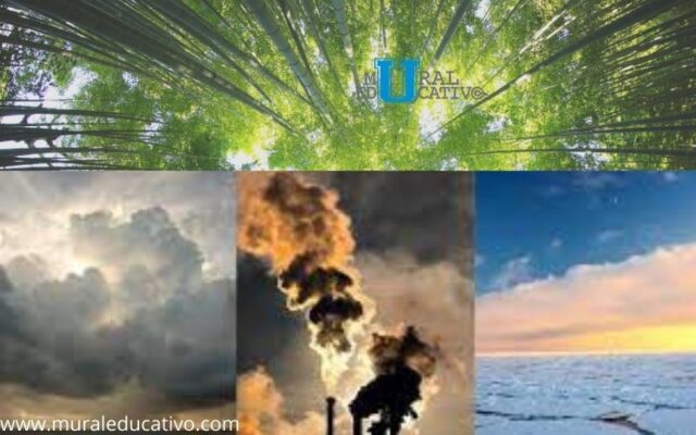 La UDLAP identifica áreas de oportunidad respecto a la problemática ambiental del país.