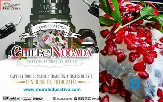 Prepara tu mejor foto, antes de disfrutar un tradicional Chile En Nogada