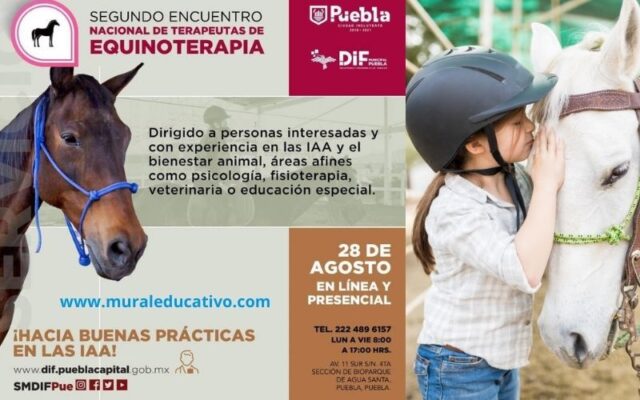 SMDIF realizó el Segundo Encuentro Nacional de Terapeutas de Equinoterapia