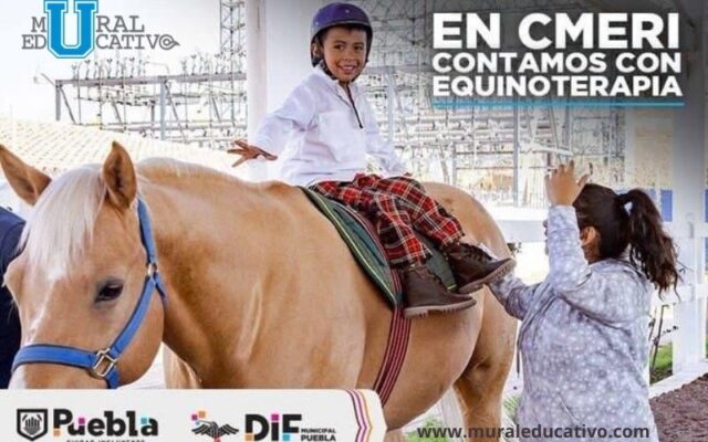 Centro Municipal de Equinoterapia y Rehabilitación invita a conocer sus servicios
