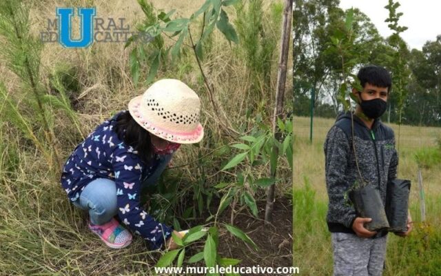 Ayuntamiento de Puebla y Fundación Conserva México siembran 200 árboles en el Parque Cerro de Amalucan