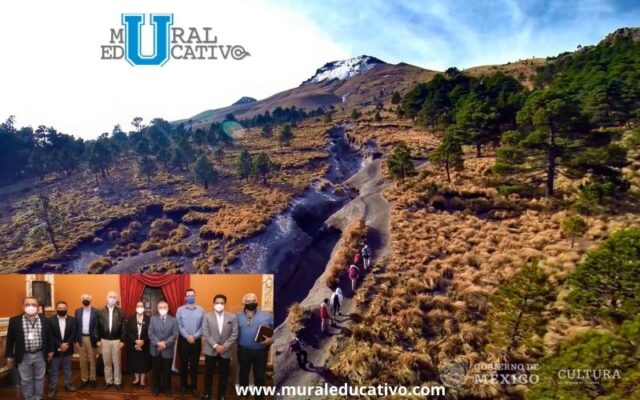 Plaga de escarabajo afecta La Malinche, gobierno de Tlaxcala implementa estrategias para controlarla