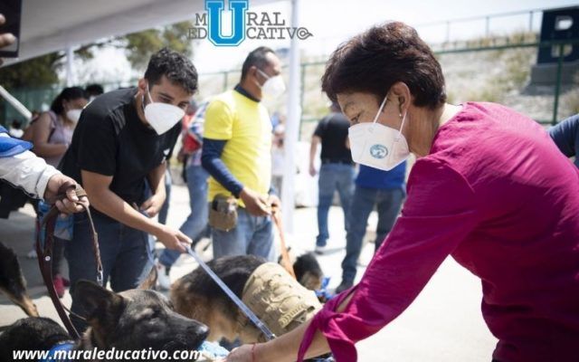 Coloca la Rectora Lilia Cedillo primera piedra del Centro de Apoyo Emocional y Terapia Ocupacional BUAP