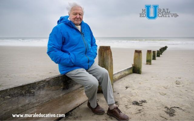 David Attenborough presenta documental sobre la salud de los océanos.