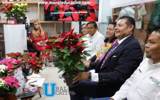 Gobierno de Puebla potencia producción de Nochebuena y consolida a Atlixco como líder nacional