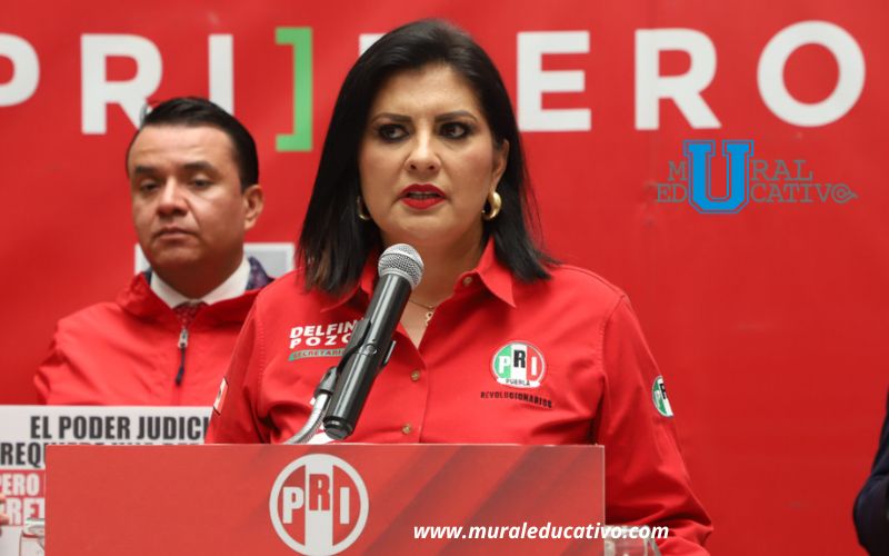 Diputada Delfina Pozos presenta iniciativa para fortalecer el combate al feminicidio en Puebla