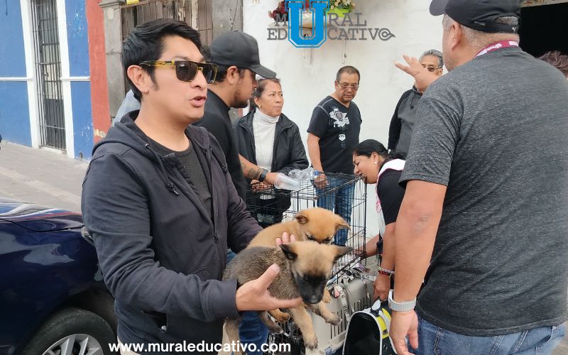 Inicia Gobierno de la Ciudad campaña para inhibir la venta de animales en vía pública