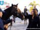 En Ceremonia Lupita Cuautle retira ejemplares de la Policía Montada y Unidad Canina