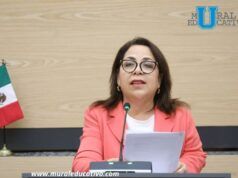 Diputada Soledad Amieva impulsa iniciativa para fortalecer la protección de menores en el entorno digital