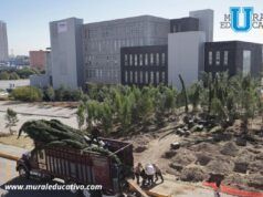 Inicia Reforestación Urbana En Cis Y Parque Ecológico; La Meta Son 10 Mil Árboles