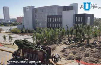 Inicia Reforestación Urbana En Cis Y Parque Ecológico; La Meta Son 10 Mil Árboles