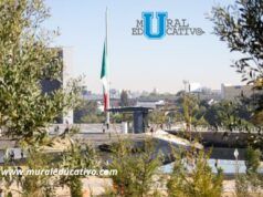 Bosque Urbano En Cis Y Parque Ecológico Se Fortalece Con 2 Mil 200 Nuevos Árboles