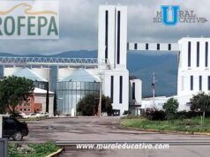 Puebla se mantiene entre los 10 estados con más empresas certificadas por PROFEPA