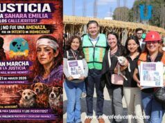 Condena gobierno estatal ataque a una mujer que defendía a seres sintientes