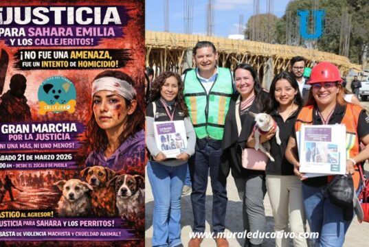 Condena gobierno estatal ataque a una mujer que defendía a seres sintientes