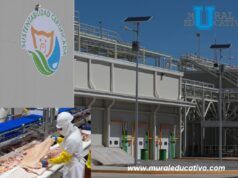 Mantiene crecimiento Planta Procesadora de Carne de Altosano-Granjas Carroll