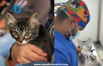 Gobierno de Pepe Chedraui continúa impulsando jornadas de bienestar animal en colonias de la capital