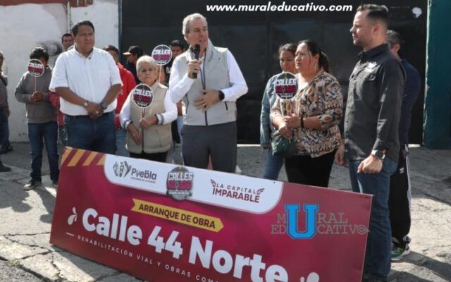 calle 44