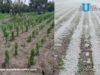 Gobierno Del Estado Supervisa Afectaciones Por Granizada En Municipios De Región Izta-Popo