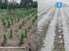 Gobierno Del Estado Supervisa Afectaciones Por Granizada En Municipios De Región Izta-Popo
