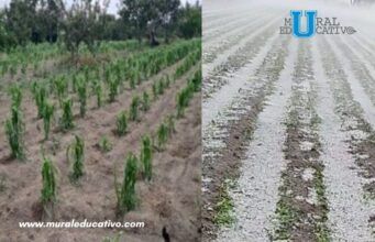 Gobierno Del Estado Supervisa Afectaciones Por Granizada En Municipios De Región Izta-Popo