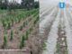 Gobierno Del Estado Supervisa Afectaciones Por Granizada En Municipios De Región Izta-Popo