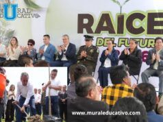 Avanza Pepe Chedraui en la recuperación de áreas verdes con “Raíces del Futuro”