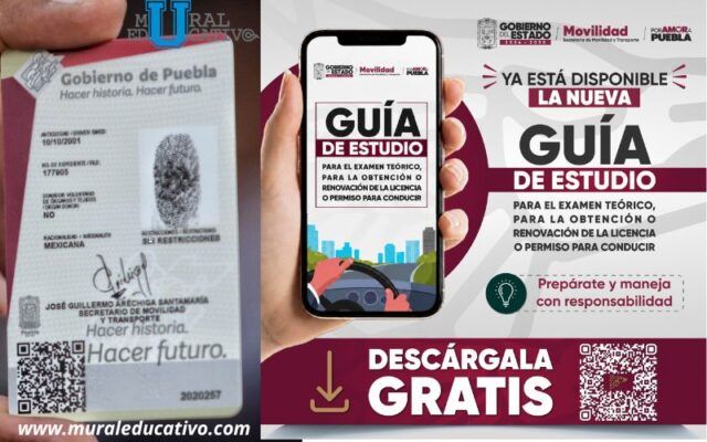 guía