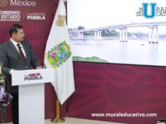 Puente De La Transformación Rescata A Comunidades Indígenas Tras 70 Años De Olvido