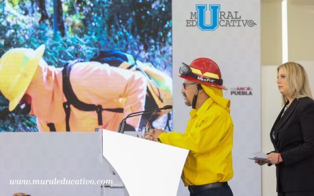 Gobierno Estatal reduce 55% la superficie afectada por incendios forestales
