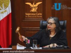 Congreso cumplirá orden de la SCJN: reconocimiento a infancias trans se discutirá en el próximo periodo